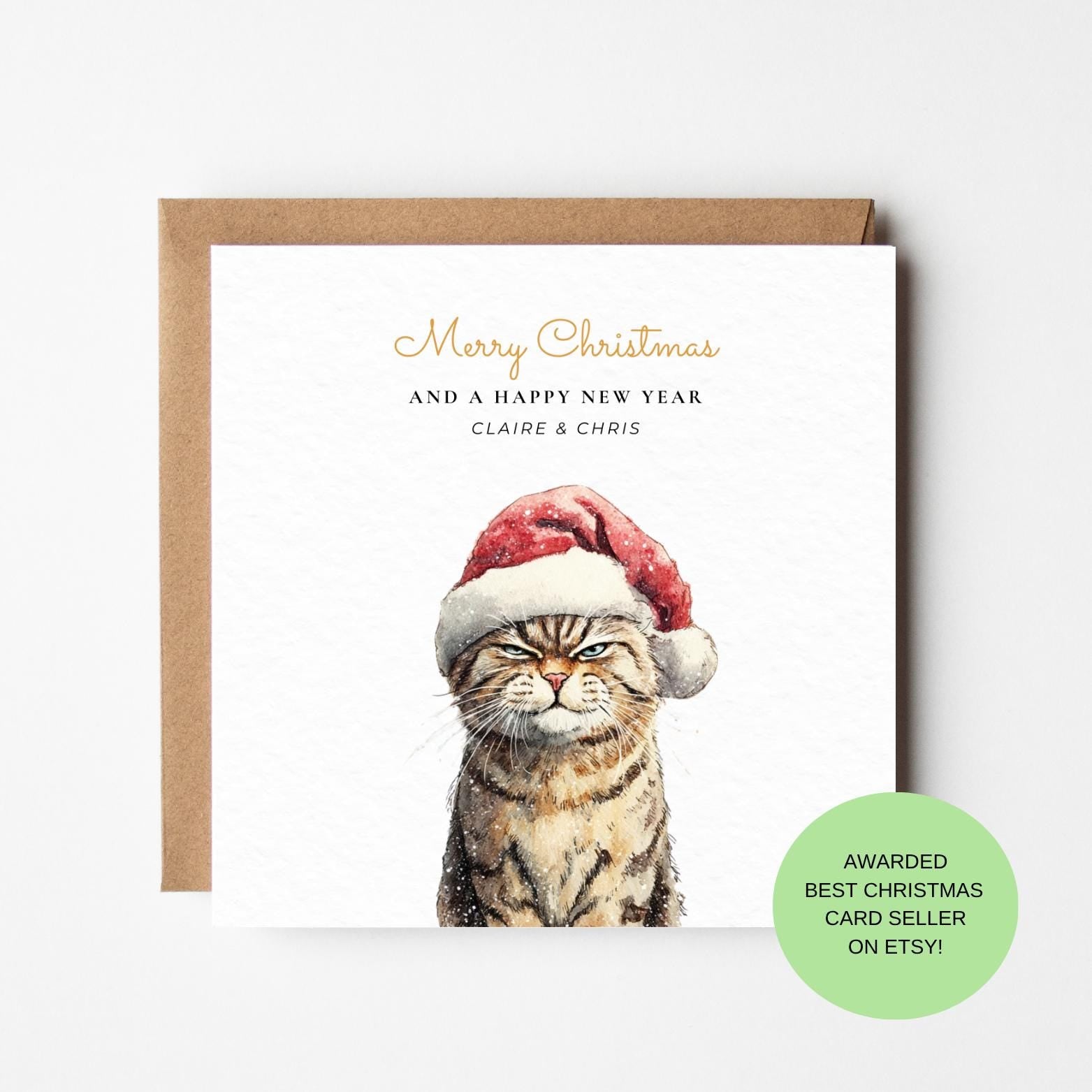 Funny Grumpy Cat Christmas Card – Santa Hat Holiday Humor