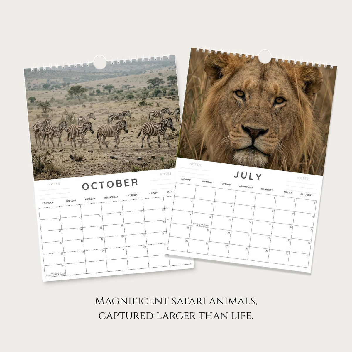 2027 Safari Wall Calendar: A4 African Wildlife Photography, Gift for Animal Lovers