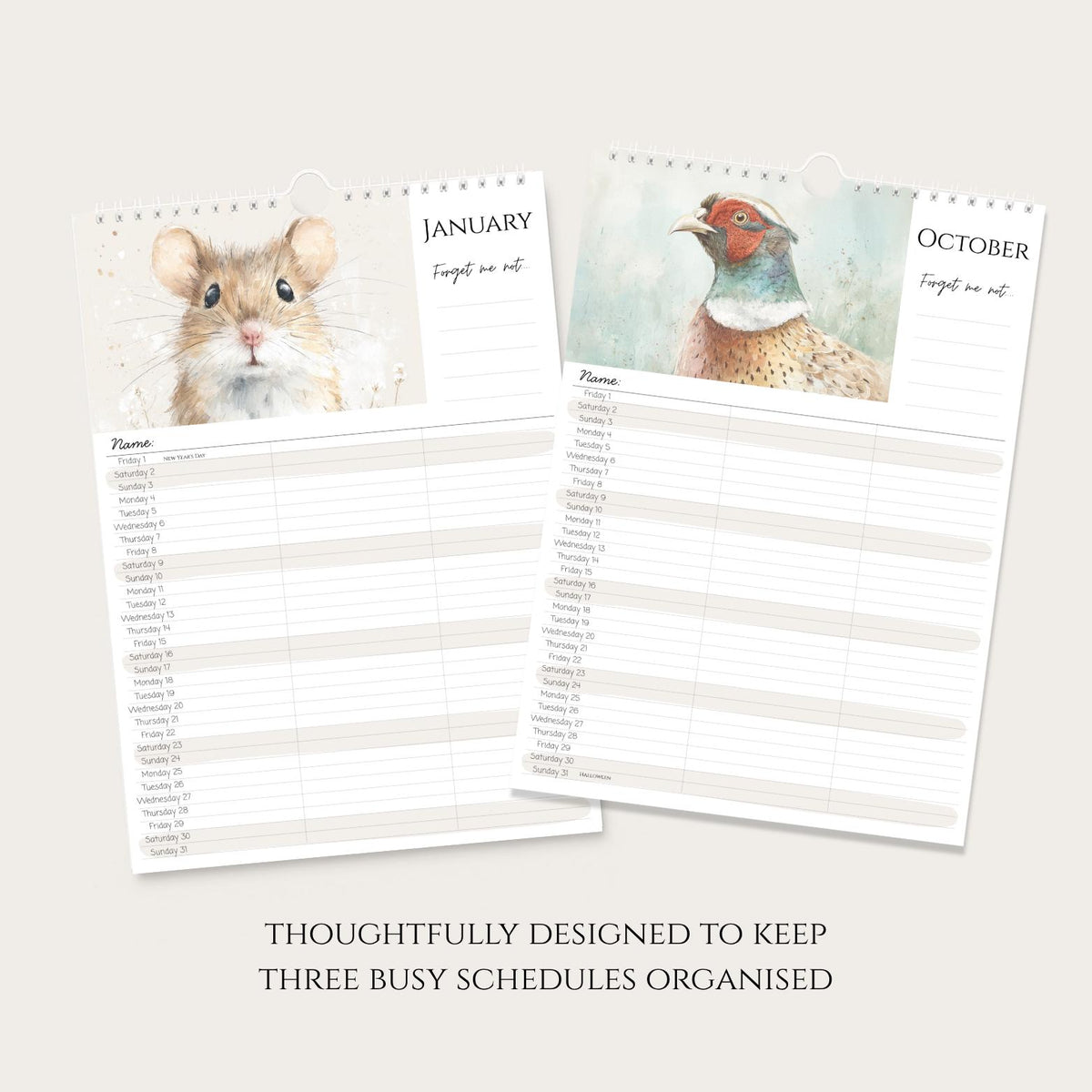 2027 Family Calendar for 3: A4 Wall Planner with Watercolour British Countryside Animals