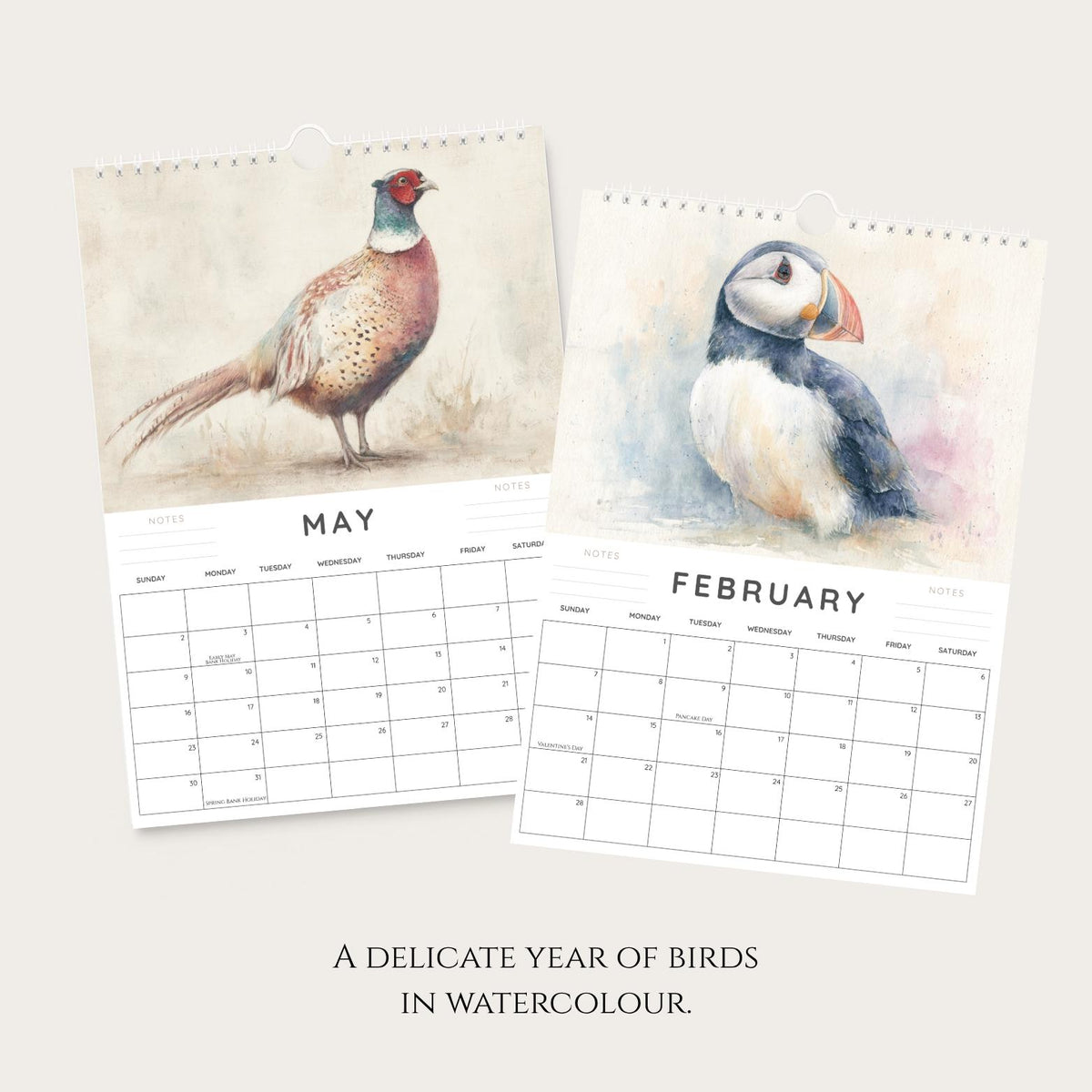 2027 A4 British Birds Wall Calendar, Watercolour Wildlife Art