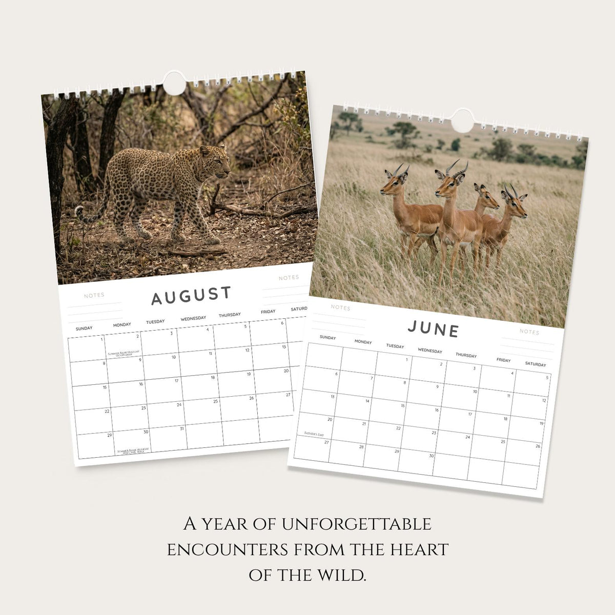 2027 Safari Wall Calendar: A4 African Wildlife Photography, Gift for Animal Lovers