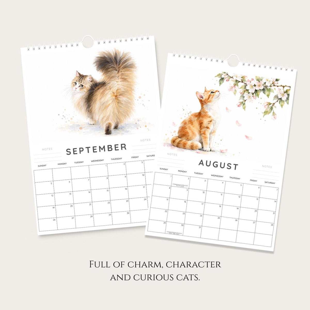 2027 Funny Cat Wall Calendar: A4 Quirky Watercolour Art, Gift for Cat Lovers