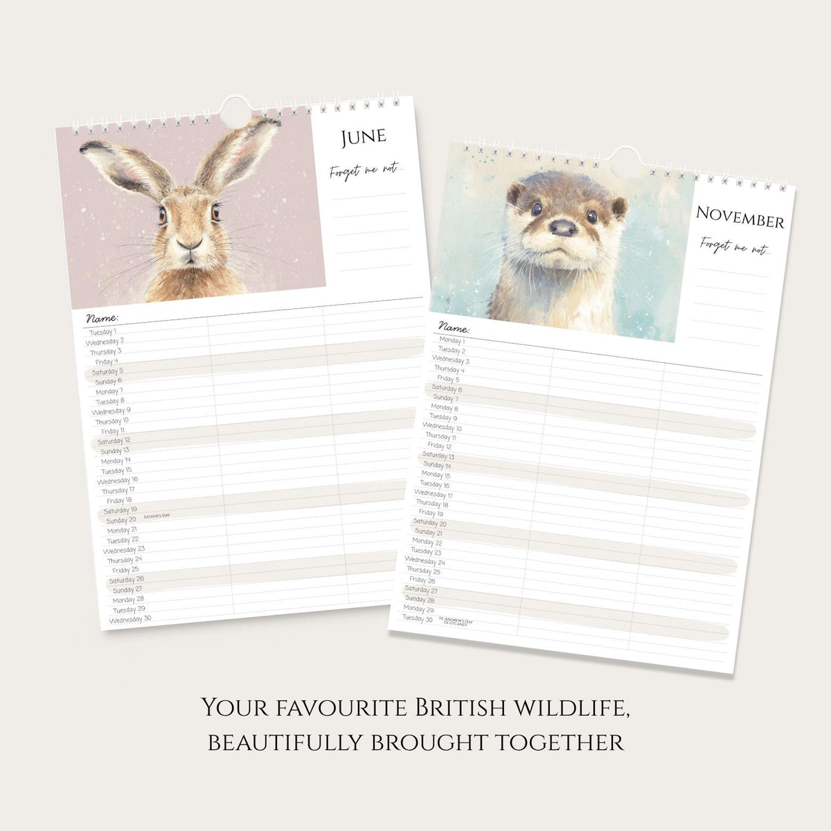 2027 Family Calendar for 3: A4 Wall Planner with Watercolour British Countryside Animals
