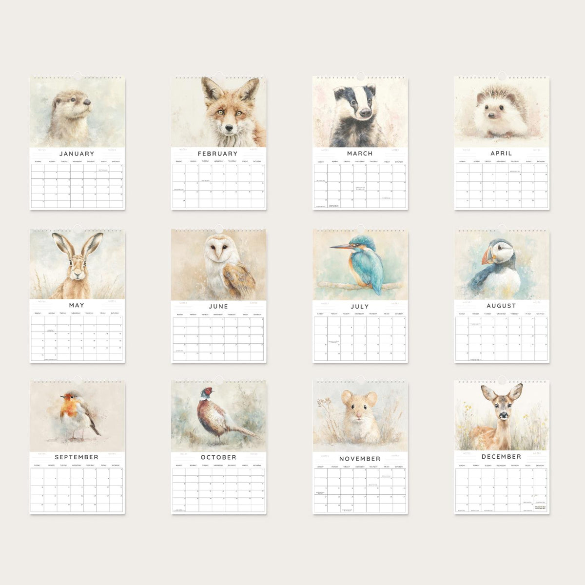 2027 A4 British Wildlife Wall Calendar, Watercolour Animals & Birds