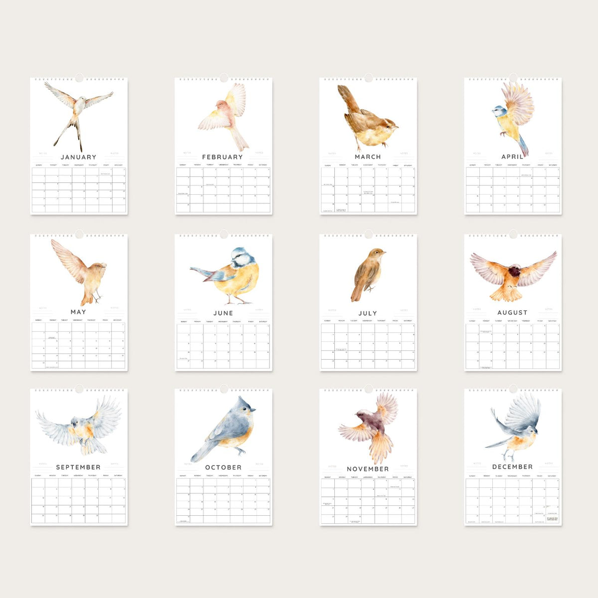 2027 A4 Birds in Flight Wall Calendar, Watercolour Nature Art
