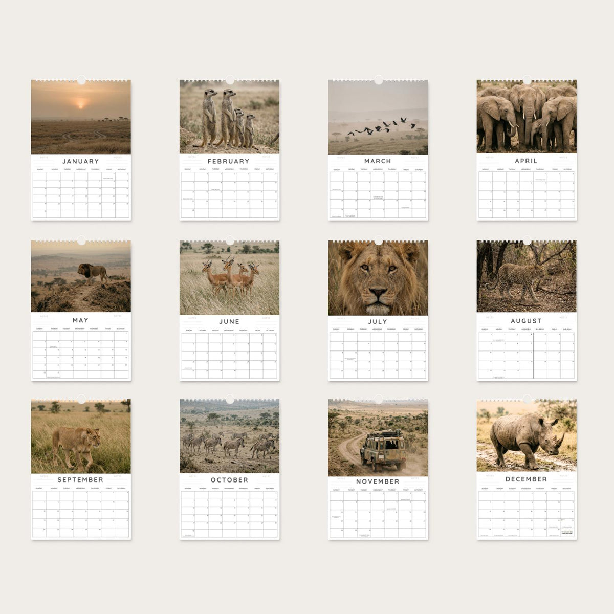 2027 Safari Wall Calendar: A4 African Wildlife Photography, Gift for Animal Lovers