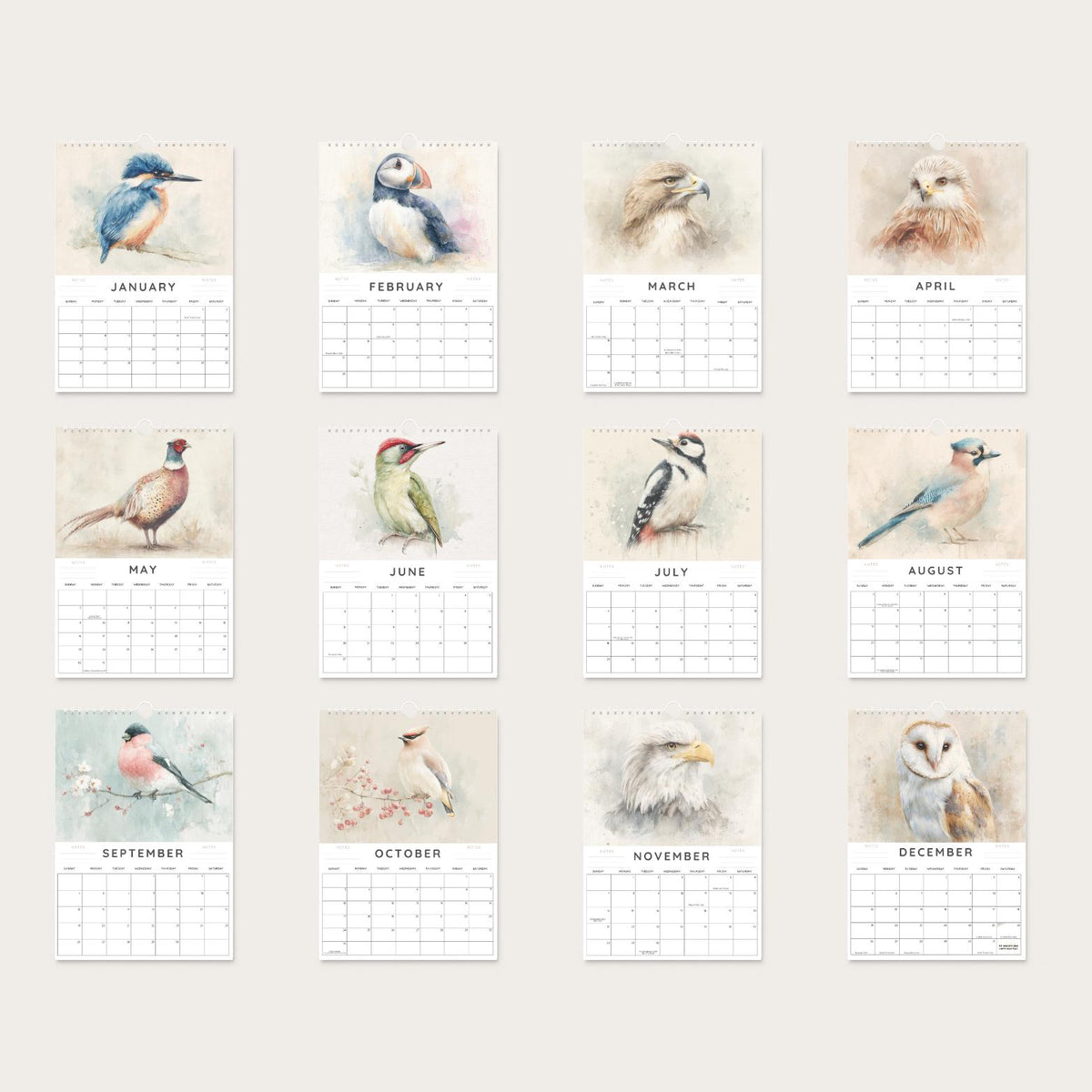 2027 A4 British Birds Wall Calendar, Watercolour Wildlife Art